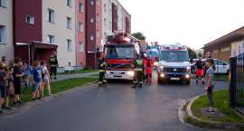 Fotka nr 4 z 13