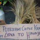 zdjęcie nr 78