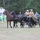 zdjęcie nr 23