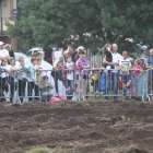 zdjęcie nr 36