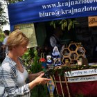 zdjęcie nr 11