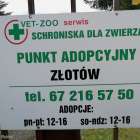 zdjęcie nr 35