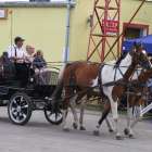 zdjęcie nr 28