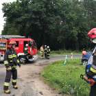 zdjęcie nr 9