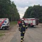 Fotka nr 4 z 11