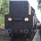 zdjęcie nr 12