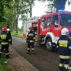 Fotka nr 1 z 10