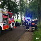 Fotka nr 2 z 10
