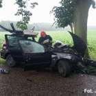 Fotka nr 3 z 10