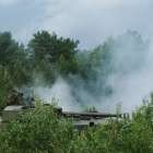Fotka nr 3 z 12