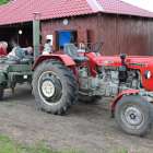 Fotka nr 5 z 51