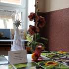zdjęcie nr 35