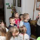zdjęcie nr 33