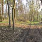 zdjęcie nr 12