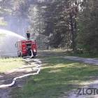Fotka nr 4 z 9