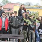 zdjęcie nr 15