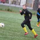 Fotka nr 5 z 32