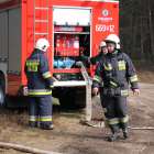 zdjęcie nr 9