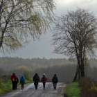 zdjęcie nr 34
