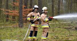 Fotka nr 2 z 11