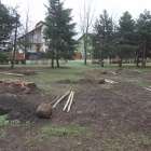 zdjęcie nr 46