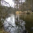zdjęcie nr 34