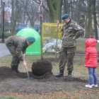 zdjęcie nr 33