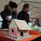 zdjęcie nr 25