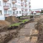 zdjęcie nr 8
