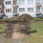 zdjęcie nr 9