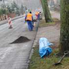 zdjęcie nr 26