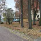 zdjęcie nr 9