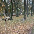 zdjęcie nr 8