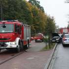 Fotka nr 4 z 17