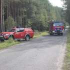 Fotka nr 3 z 11