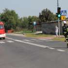 Fotka nr 1 z 16