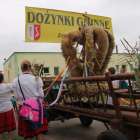 Fotka nr 4 z 138