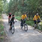 zdjęcie nr 31