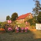 zdjęcie nr 115
