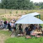 zdjęcie nr 15