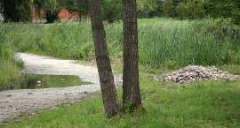 Fotka nr 3 z 17