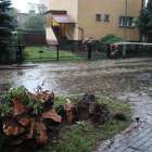 zdjęcie nr 8