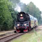 zdjęcie nr 31