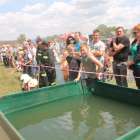 zdjęcie nr 110
