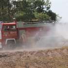 Fotka nr 4 z 178