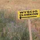 zdjęcie nr 177