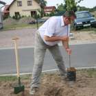 zdjęcie nr 17