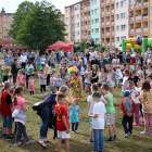 zdjęcie nr 8