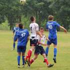 zdjęcie nr 13