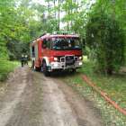 Fotka nr 5 z 19
